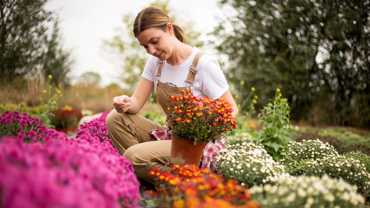 Eine Frau pflanzt Blumen im Garten ein