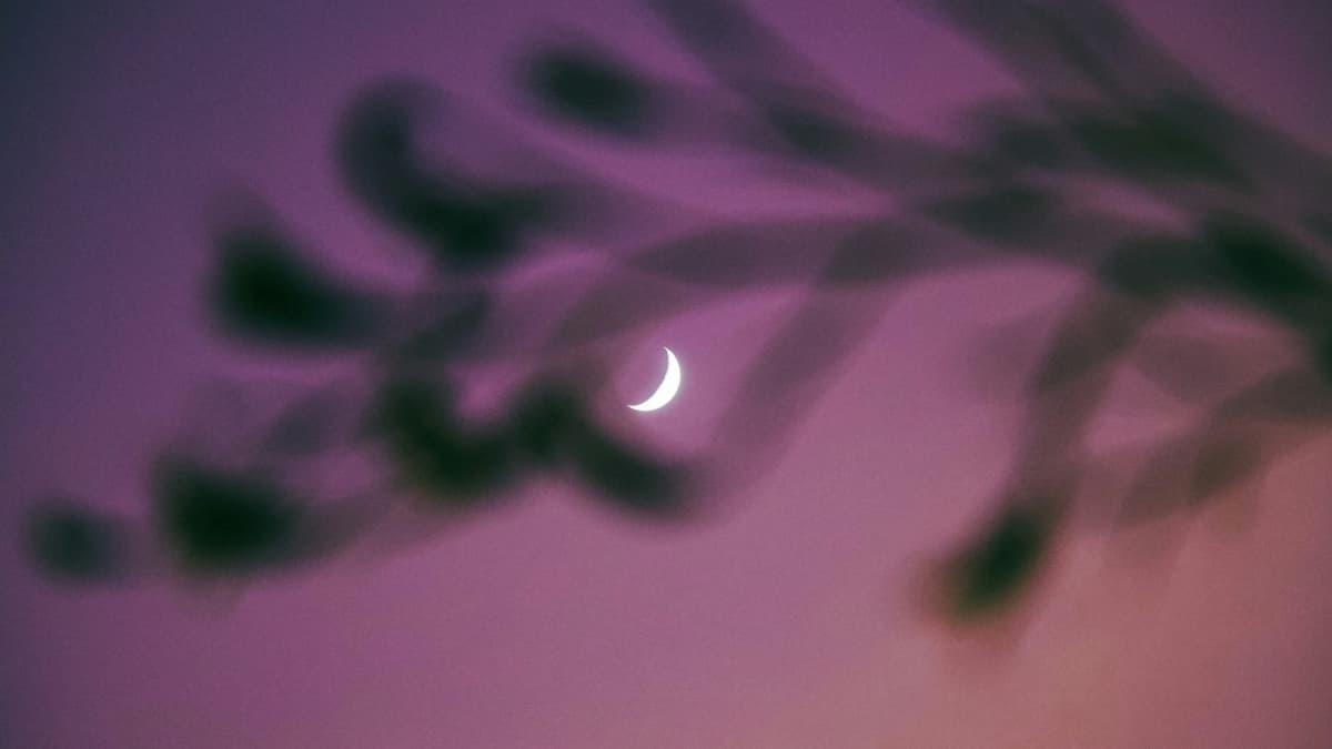 Mond am lila Abendhimmel