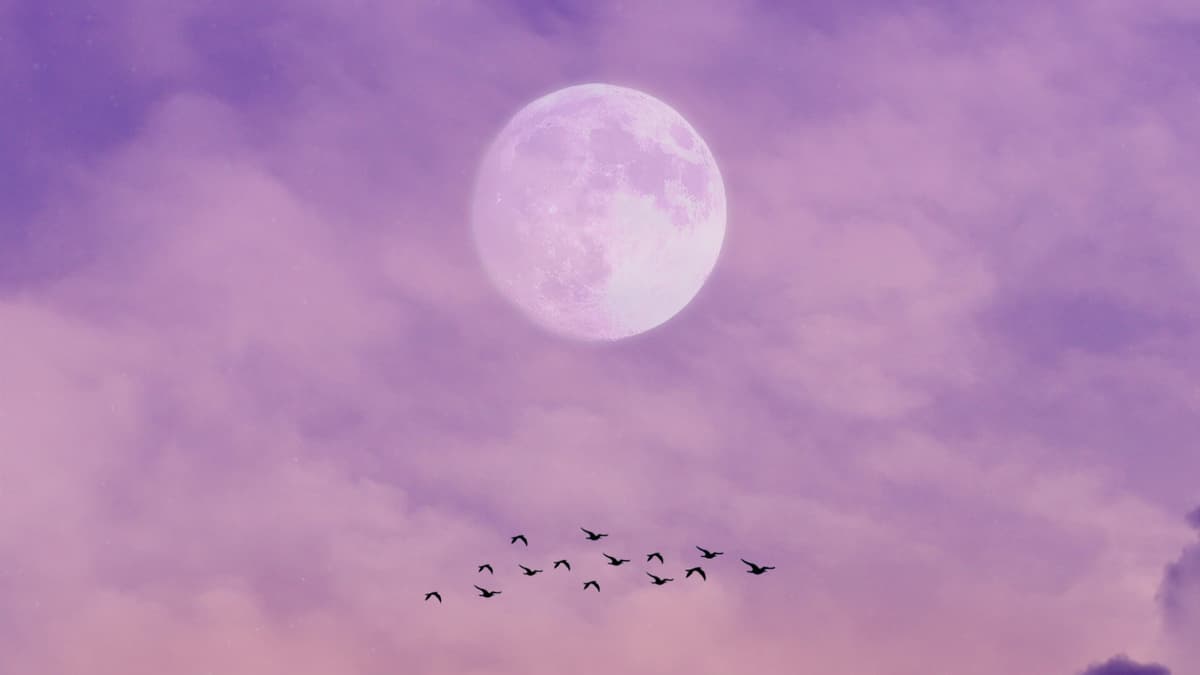 Supervollmond am lila Himmel