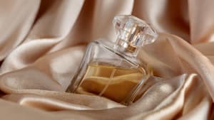 Beliebte Parfums