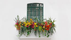 Balkon mit bunten Blumen