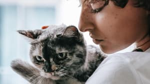 Frau mit Katze auf dem Arm