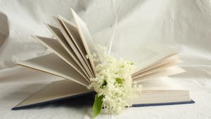 Buch mit Blume