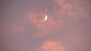 Mond