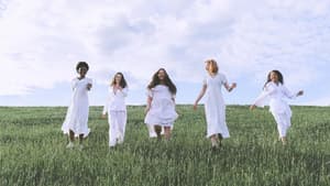 Frauen im Feld