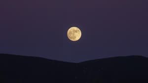 Vollmond am Nachthimmel