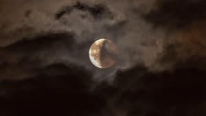 Mondfinsternis 