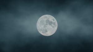 Vollmond im Nebel