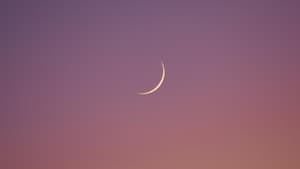 Neumond am rosa-orangefarbenen Himmel