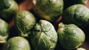 Rosenkohl