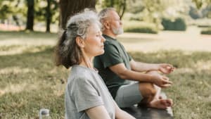 Älteres Paar macht Yoga auf einer Wiese.