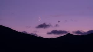 Neumond am rosafarbenen Himmel