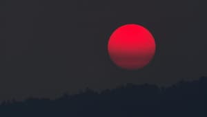 Pinker Mond