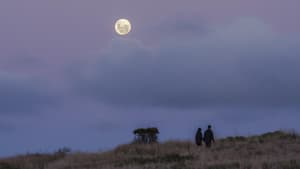 Vollmond am 21. Juli: Pärchen läuft unterm Nachthimmel