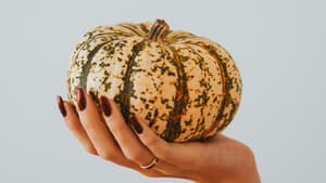 Hand mit dunkelroten Fingernägeln hält Kürbis