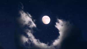 Vollmond guckt am Sternenhimmel zwischen Wolken hervor.