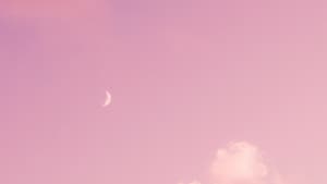 Rosa Abendhimmel mit Mond