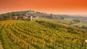 Slowenische Weinhügel
