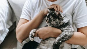 Frau hält eine Katze auf dem Arm und schmust mit ihr.