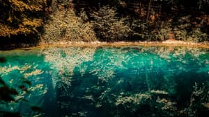 Ein Blick auf die türkisfarbene Blautopf Quelle mit Bäumen im Hintergrund.