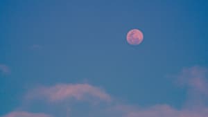 pinker Vollmond am Himmel