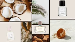 Eine Collage mit Bilder von Kokosnüssen, Füßen im Sand, Palmenblättern und verschiedenen Kokos Parfums.