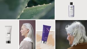 Collage mit Bildern von Conditioner, Aloe vera und Frauen mit grauen Haaren.