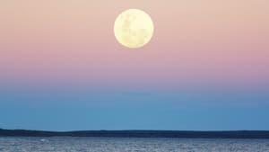 Vollmond überm Wasser
