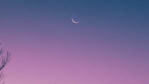 Mond am lila-blauen Nachthimmel