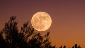 Vollmond an rotem Himmel