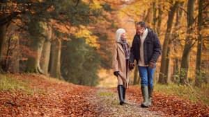 Pärchen geht im Herbstwald spazieren