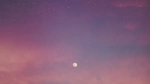 Rosa Abendhimmel