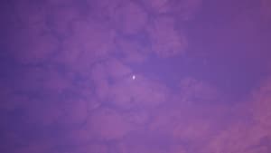 Lila Himmel mit Halbmond