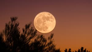 Vollmond am rötlichen Himmel