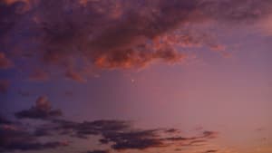 Abendhimmel mit rosa Wolken