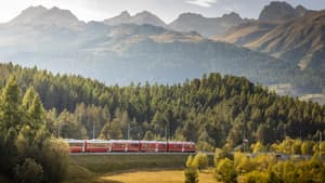 Zug vor Bergkulisse