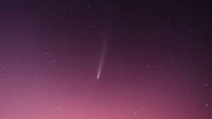 Sternenhimmel mit Sternschnuppe