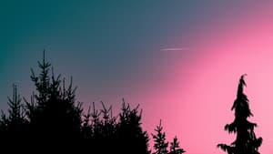 Abendhimmel mit Sternschnuppe