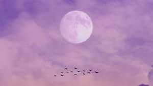 Supervollmond am lila Himmel