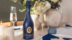 Fürst von Metternich