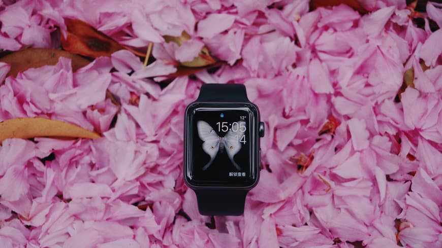 Smartwatch