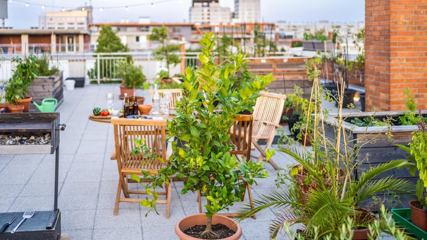Dachterrasse