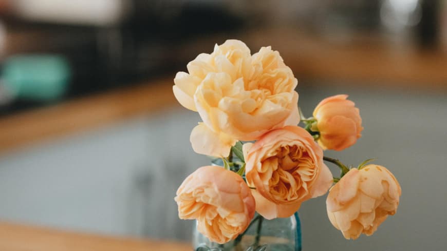 Blumen pflegen