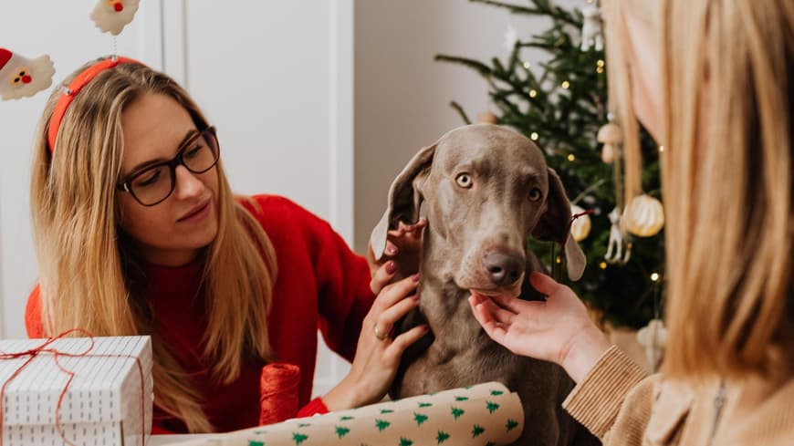 Geschenke für Hunde