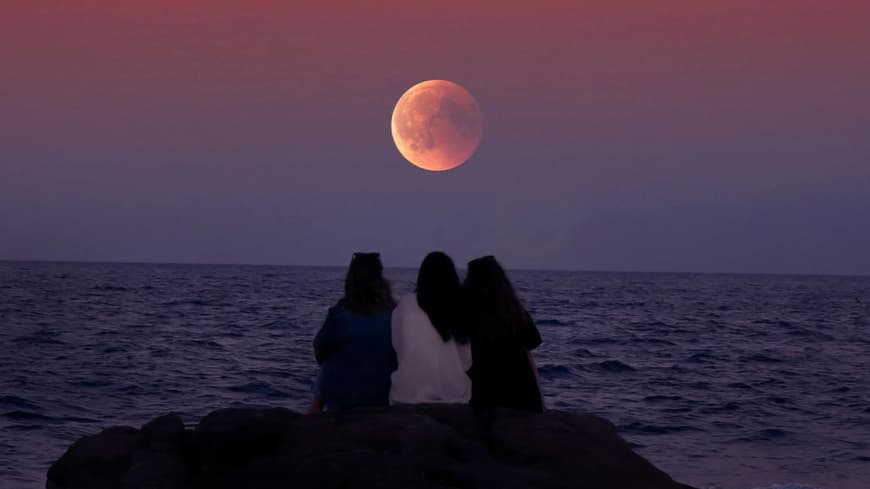 Blumenmond Vollmond