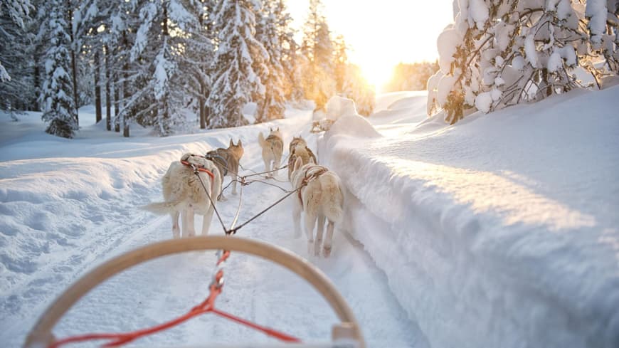 Huskys ziehen einen Schlitten in einer Schneelandschaft