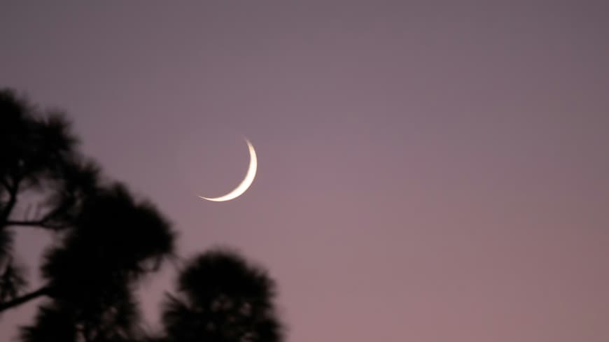 Wie gut dein Sternzeichen die Blue-Monday-Woche übersteht, erfährst du hier. Himmel mit Sichelmond