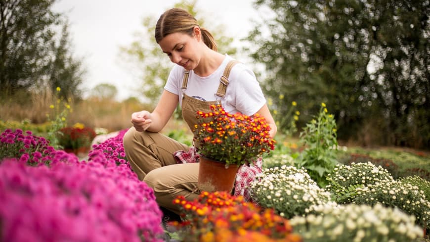 Eine Frau pflanzt Blumen im Garten ein