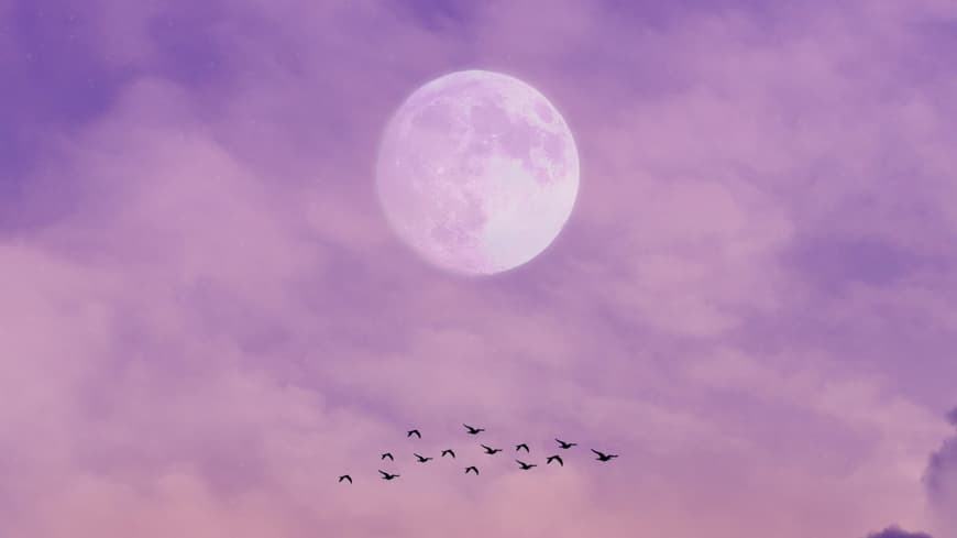 Lila Himmel mit Vollmond