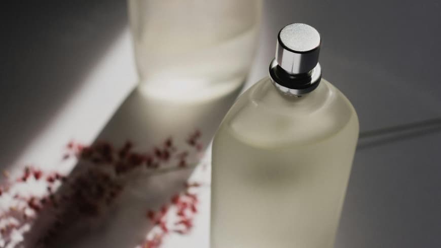Parfum-Flakon mit rötlichen Trockenblumen im Hintergrund.